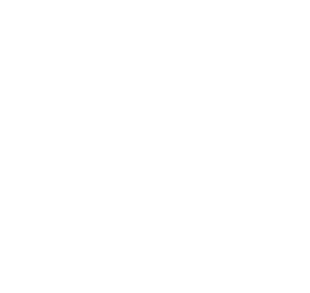 DDCustomStyle
